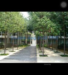 Changi Rise Condominium (D18), Condominium #107803072